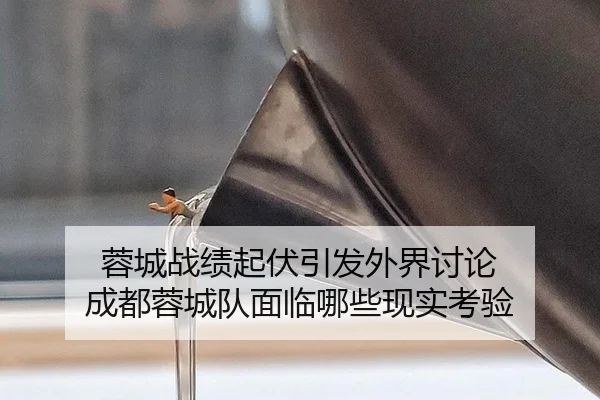 rong-cheng-zhan-ji-qi-fu-yin-fa-wai-jie-tao-lun-cheng-du-rong-cheng-dui-mian-lin-na-xie-xian-shi-kao-yan-2-407.jpg
